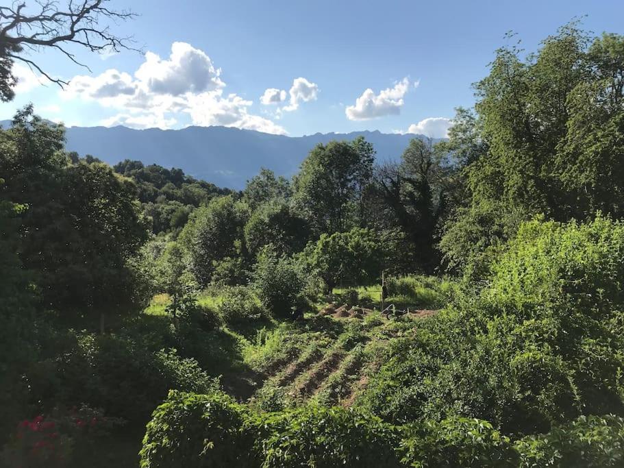 Belladone Guest House Theys Les 7 Laux 외부 사진