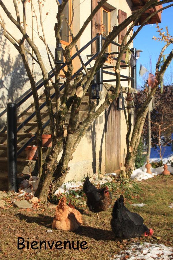 Belladone Guest House Theys Les 7 Laux 외부 사진